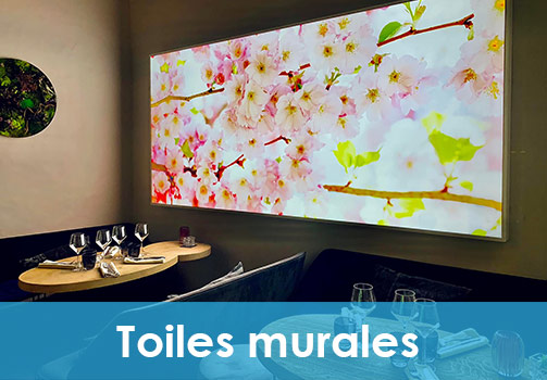 Toiles murales